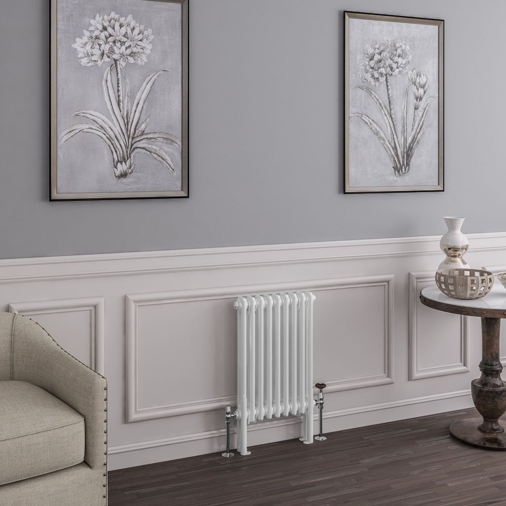 Imperia 2 Column Radiator 600 x 425mm Gloss White