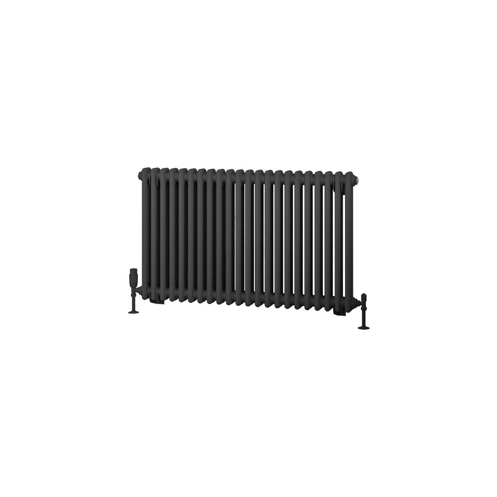 Rivassa 2 Column Radiator 600 x 1010mm Matt Anthracite