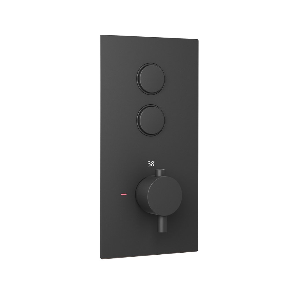 Concealed Thermostatic Shower Valve with Double Round Push Button - Matt Smooth Black