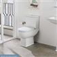 Cheltenham Soft Close Toilet Seat - White