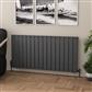 Warrington 600 x 1212 Radiator Type10 Matt Anthracite