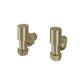 Angled Radiator Valves (pair) Brushed Brass