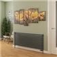 Murano 600 x 1400 Radiator Matt Anthracite