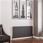 Addington 600 x 1254 Radiator Type20 Matt Anthracite