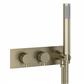 Meriden Two Way Thermostic Shower Valve with Hand Set - Brushed Brass